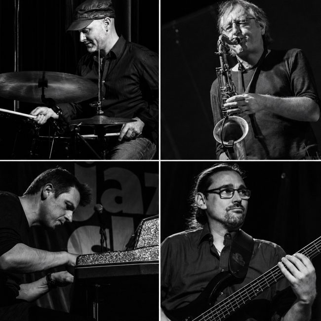 Mettnau Groove Collection